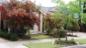 Runner Up Bird Attacting Native Garden - Prion Circuit